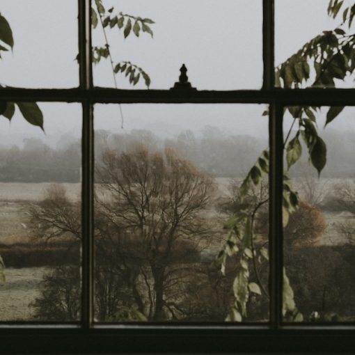 Window overlooking green trees, illustrating end-users unclear on cloud benefits
