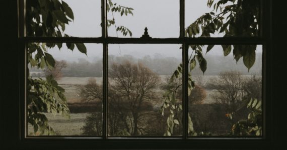 Window overlooking green trees, illustrating end-users unclear on cloud benefits