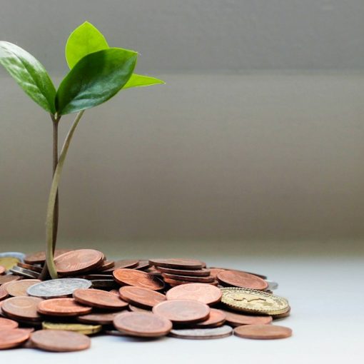 Green seedling growing from a pile of coins, illustrating cloud computing industry growth