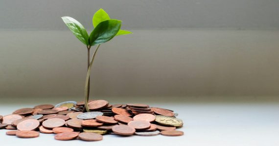Green seedling growing from a pile of coins, illustrating cloud computing industry growth