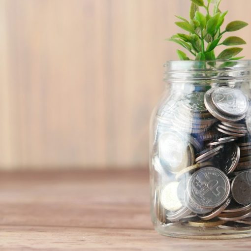 A glass jar filled with coins and a plant, illustrating cloud computing saving firms money