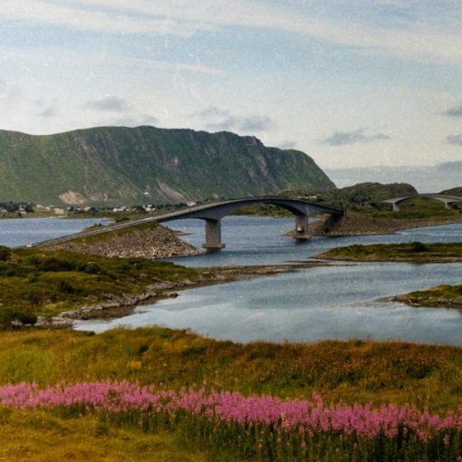 A bridge over a body of water, illustrating patent risks in cloud computing