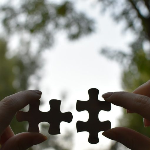 A person holding two pieces of a puzzle, illustrating service-oriented architecture and cloud success