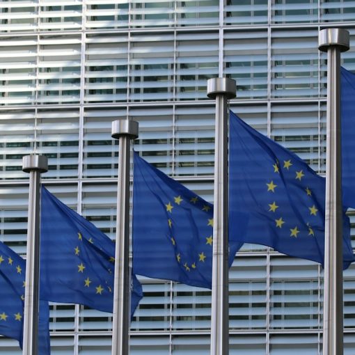 Row of European Union flags, illustrating a European cloud computing strategy
