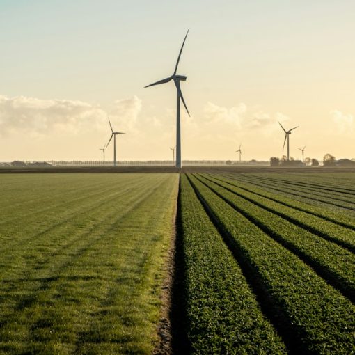 Wind turbines on green grass field under blue sky, illustrating the environmental benefits of cloud computing