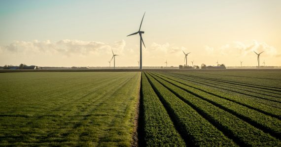 Wind turbines on green grass field under blue sky, illustrating the environmental benefits of cloud computing