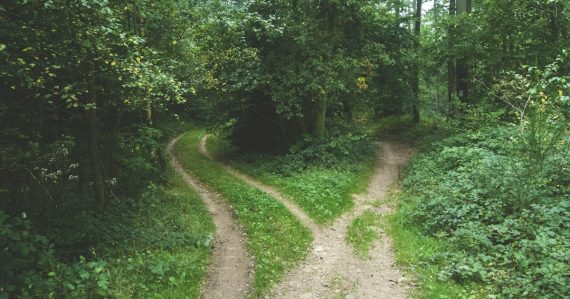Two roads between trees, illustrating hybrid cloud dominating IT architecture
