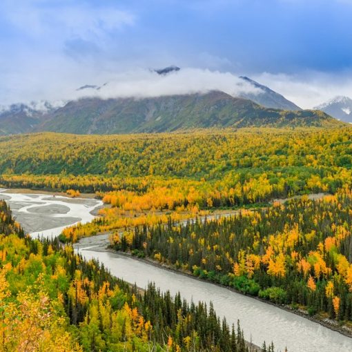 River beside forest under bright sky, illustrating local cloud support in Alaska