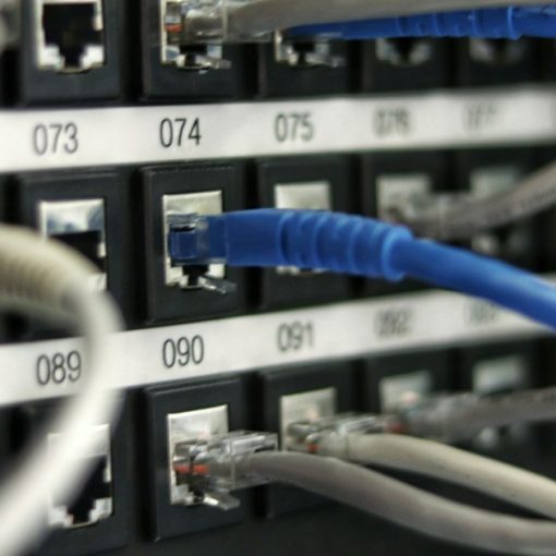 Blue network cables plugged into a switch, illustrating the rules for top cloud performance