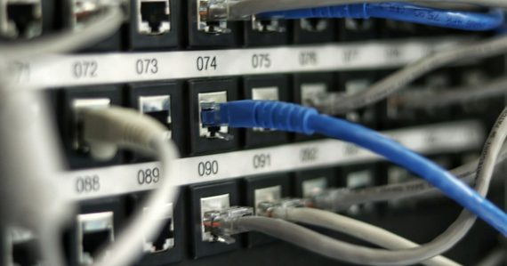 Blue network cables plugged into a switch, illustrating the rules for top cloud performance