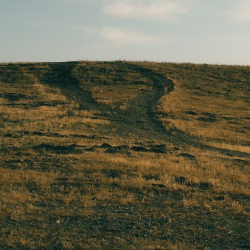 Dirt paths diverge on a dry, grassy hill, illustrating whether to adopt the cloud