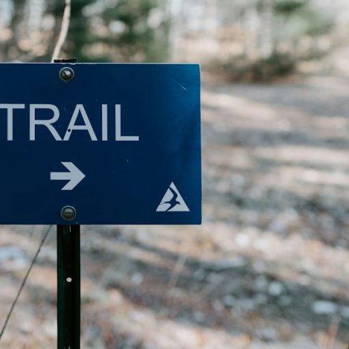 A blue sign pointing to a trail in the woods, illustrating virtualization challenges in India
